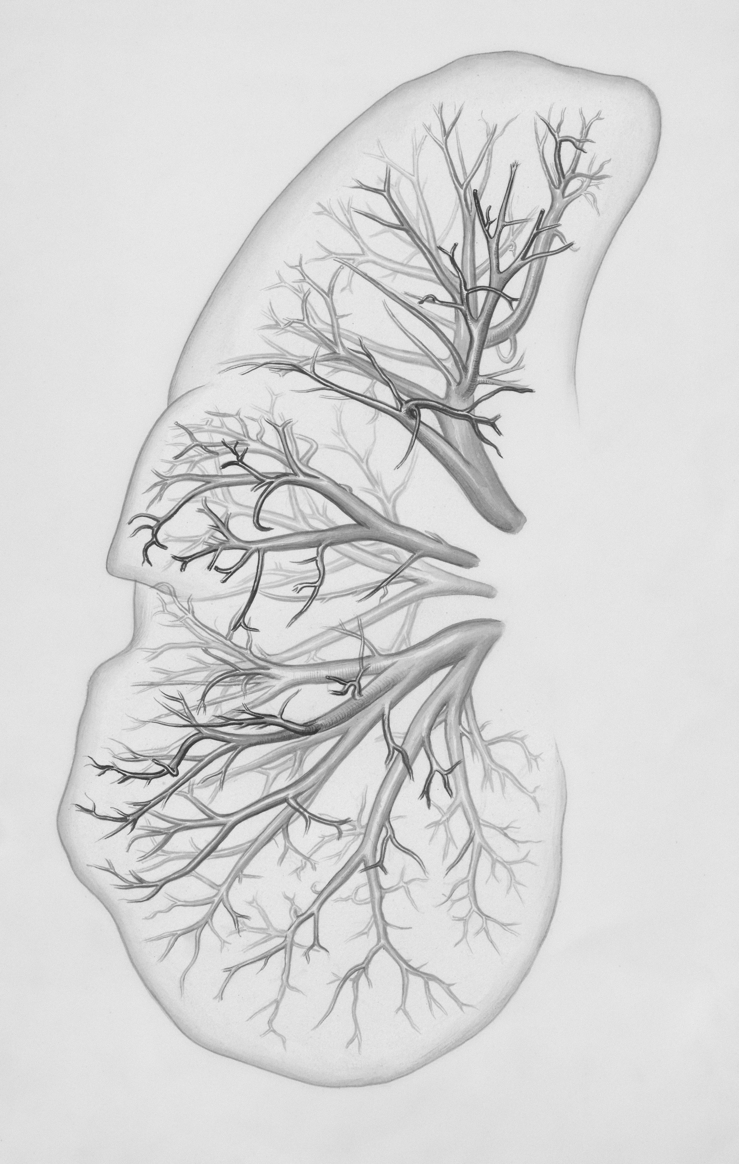 Terapia Respiratoria Pediátrica